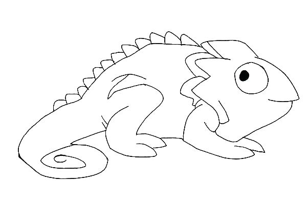 600x429 Chameleon Coloring Pages - Chameleon Outline Drawing