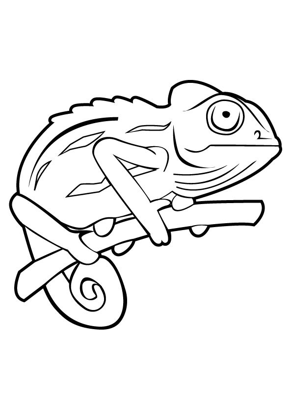 Chameleon Outline Drawing at PaintingValley.com | Explore collection of ...