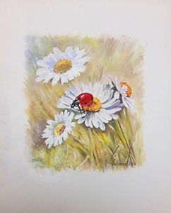 242x300 drawing watercolor on paper painting drawing art ladybug - Chamomile Drawing