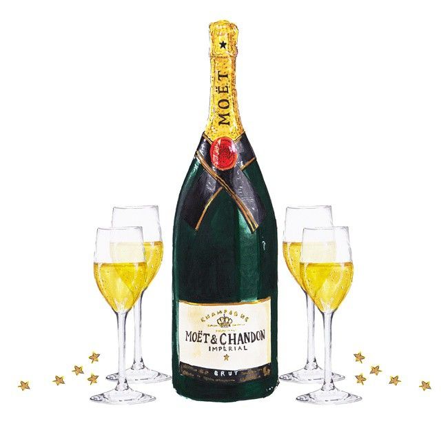 640x640 Instagram Media - Champagne Bottle Drawing