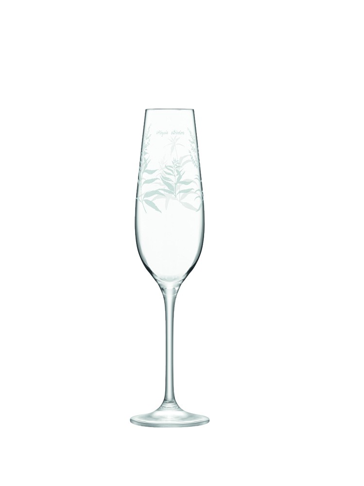 749x1000 kew lsa set of champagne flutes kew gardens shop - Champagne Flute Drawing