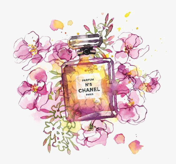 564x523 drawing perfume, valentines gift, romantic, chanel perfume png - Chanel Drawing