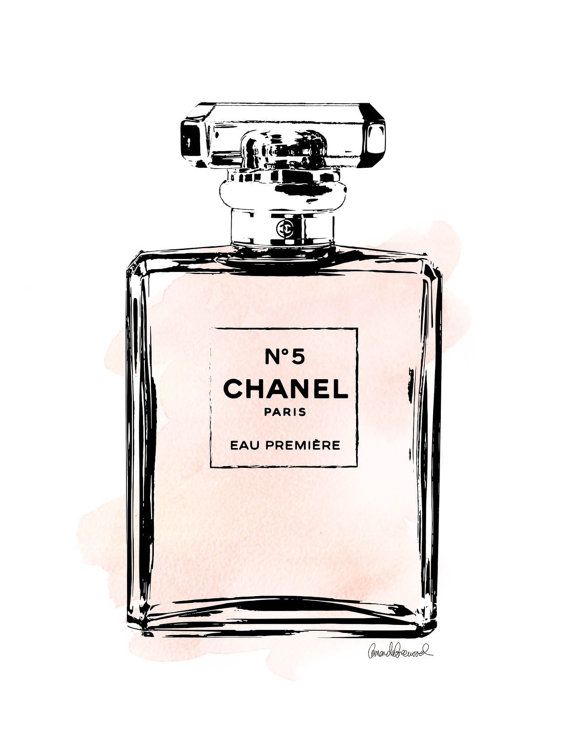 Chanel No 5 Drawing at PaintingValley.com | Explore collection of ...