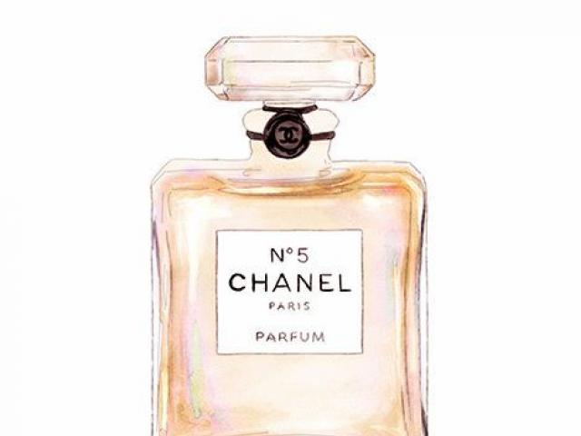 Chanel No 5 Drawing at PaintingValley.com | Explore collection of ...