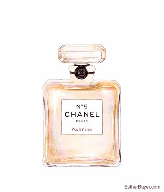 570x665 chanel perfume bottle drawing - Chanel Perfume Bottle Drawing
