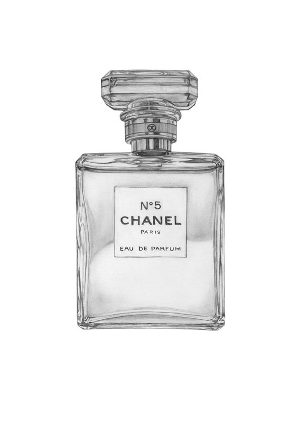 595x842 chanel drawing free download - Chanel Perfume Bottle Drawing