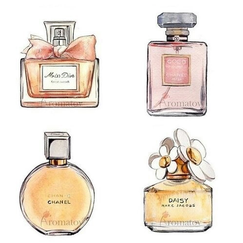 Chanel Perfume Bottle Drawing at PaintingValley.com | Explore