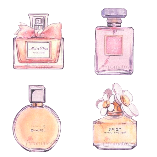 500x500 Chanel Drawing Perfume Bottle Transparent Png Clipart Free - Chanel Perfume Drawing