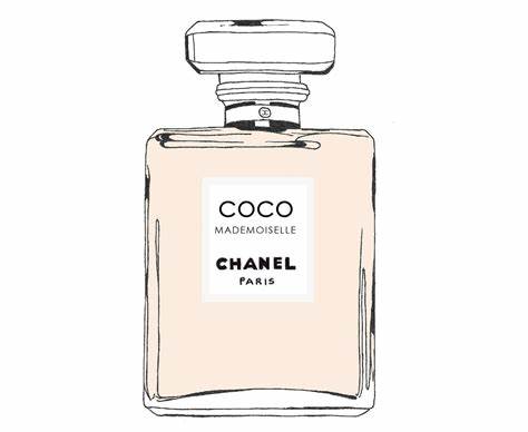 474x388 coco chanel perfume drawing gtgt - Chanel Perfume Drawing