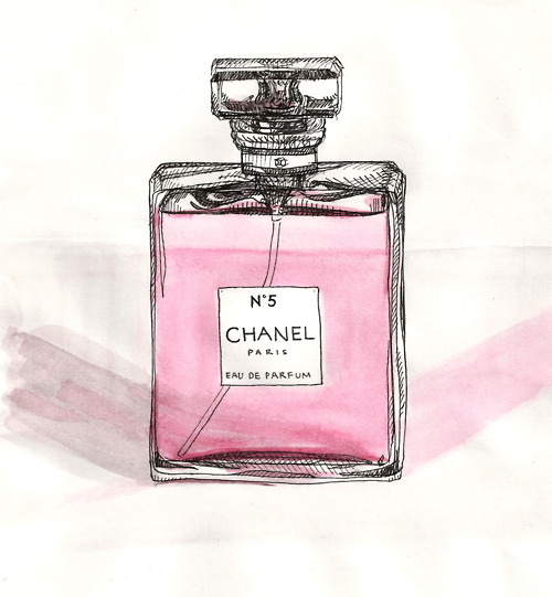 Chanel Perfume Drawing at PaintingValley.com | Explore collection of ...