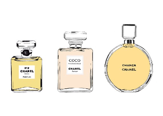 570x404 drawn bottle chanel chance perfume - Chanel Perfume Drawing