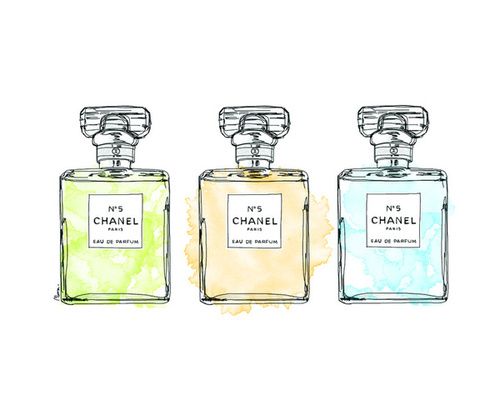 Chanel Perfume Drawing at PaintingValley.com | Explore collection of ...