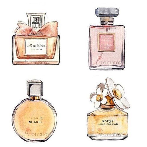 500x500 coco chanel perfume drawing - Chanel Perfume Drawing