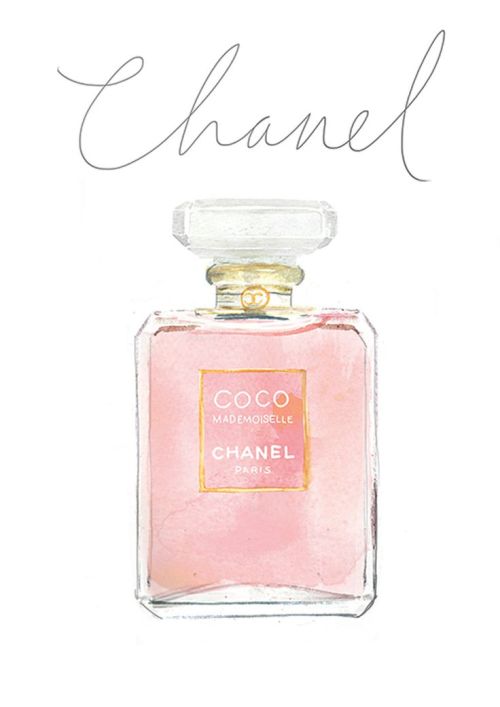 Chanel Perfume Drawing at PaintingValley.com | Explore collection of ...