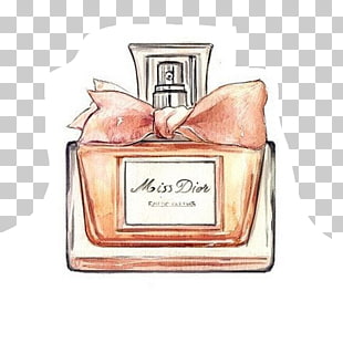 310x310 chanel coco perfume drawing watercolor painting, chanel png - Chanel Perfume Drawing
