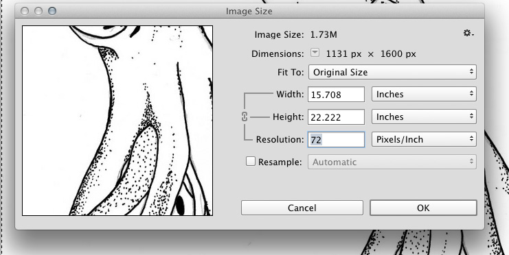 741x372 Converting Drawing To Vector In Illustrator - Change Photo To Drawing