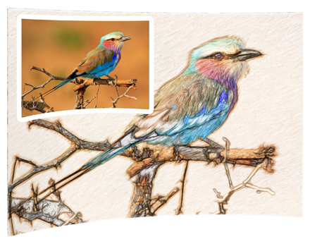 440x346 how to change photo to drawing - Change Photo To Drawing