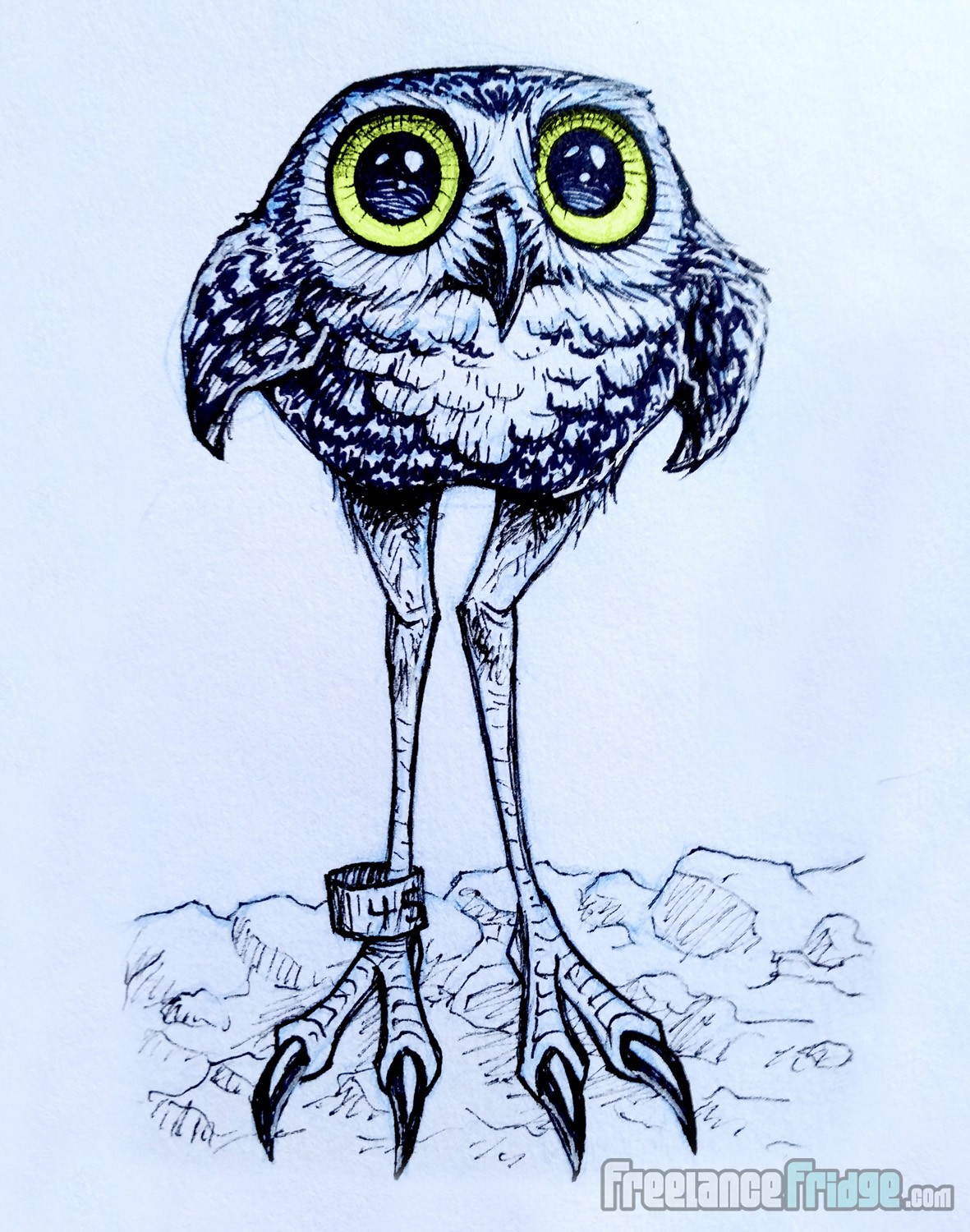 1181x1500 Burrowing Owl Cartoon Drawing Freelance Fridge Illustration - Character Development Drawing