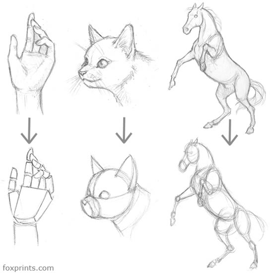 544x550 Ainessa Character Drawing Tutorial - Character Drawing