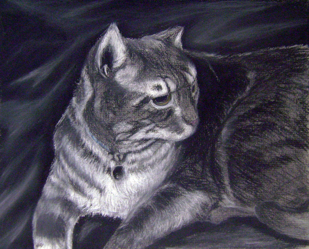 995x800 Animal Charcoal Drawings - Charcoal Animal Drawings