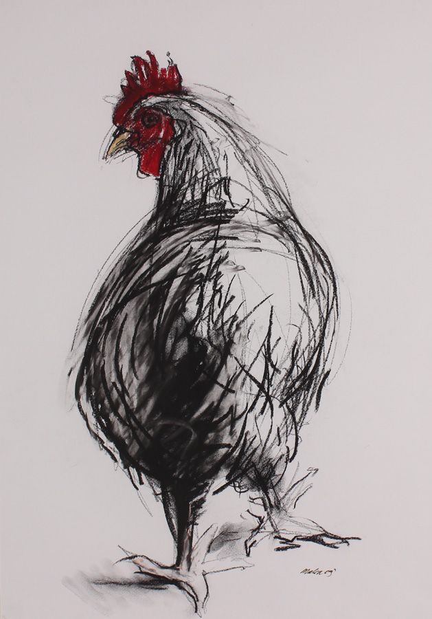 629x900 image result for expressive charcoal drawings of animals - Charcoal Animal Drawings