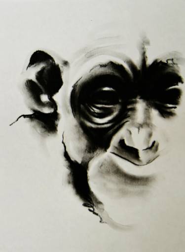 375x511 Original Documentary Animal Charcoal Drawings For Sale Saatchi Art - Charcoal Animal Drawings