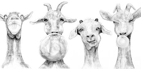 450x221 Stunning Animal Charcoal Drawings And Illustrations For Sale - Charcoal Animal Drawings