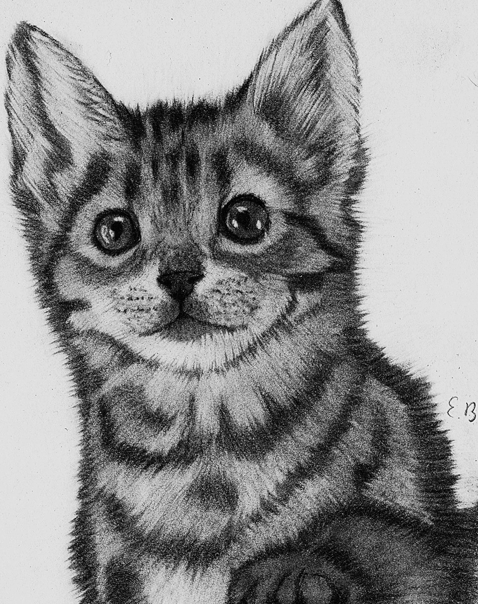 950x1200 Cat With Charcoal Old Drawing - Charcoal Cat Drawing