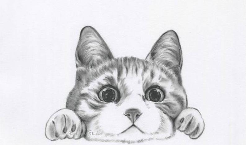 794x467 charcoal cat drawing cat sketch print charcoal sketch pet etsy - Charcoal Cat Drawing