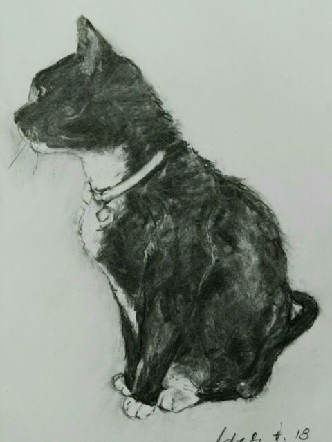 480x640 Charcoal Cat Drawing Signed Original Paper Pet Portraits Black - Charcoal Cat Drawing