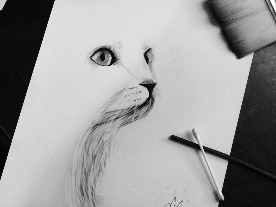 960x720 Charcoal Drawing For Beginners Deve Drawing - Charcoal Cat Drawing