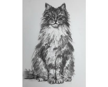 414x334 Charcoal Drawing Cat Paint 'n' Sip Studio Christchurch, New - Charcoal Cat Drawing