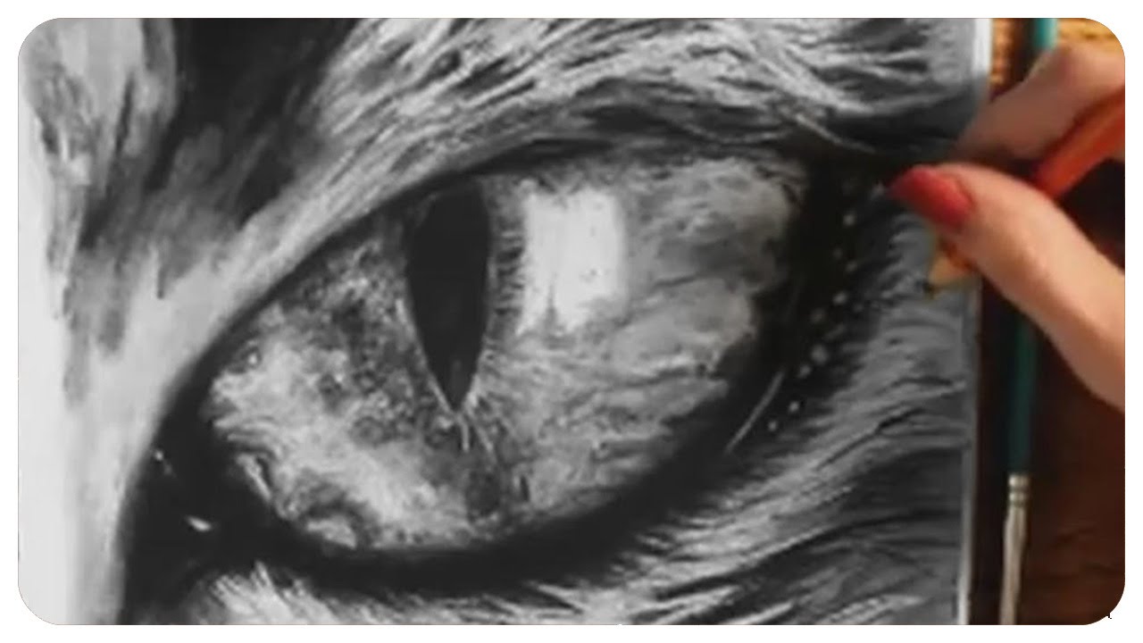 1280x720 How To Draw A Cat Eye - Charcoal Cat Drawing