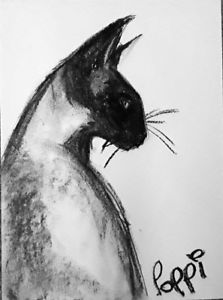 Charcoal Cat Drawing at PaintingValley.com | Explore collection of ...