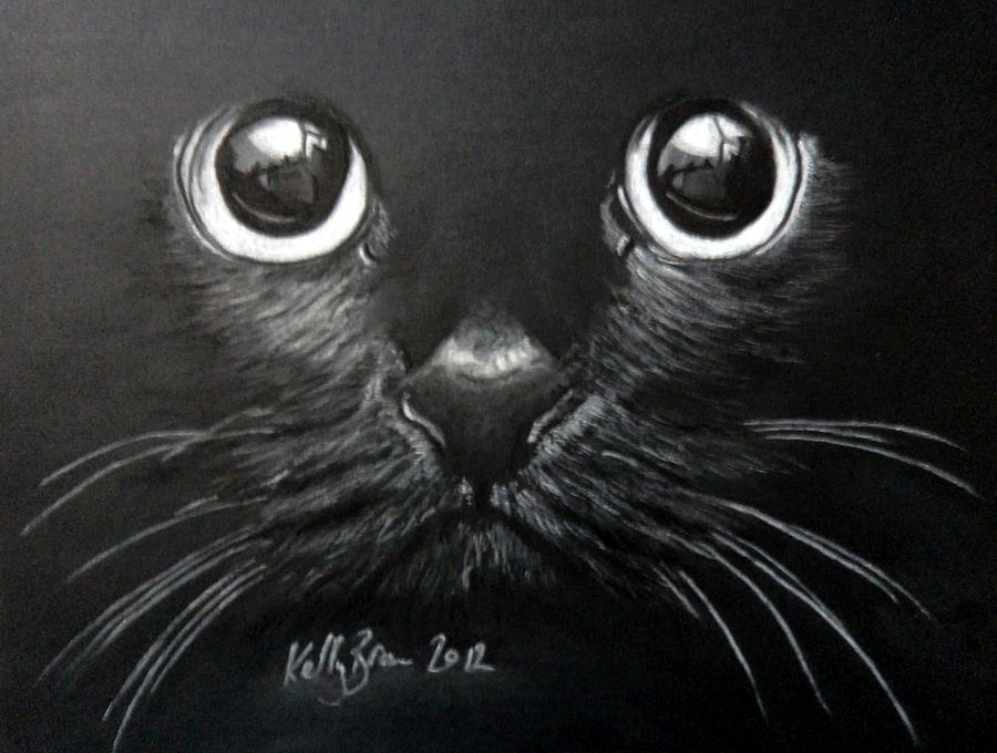900x680 Wide Eyed Cat Drawing - Charcoal Cat Drawing