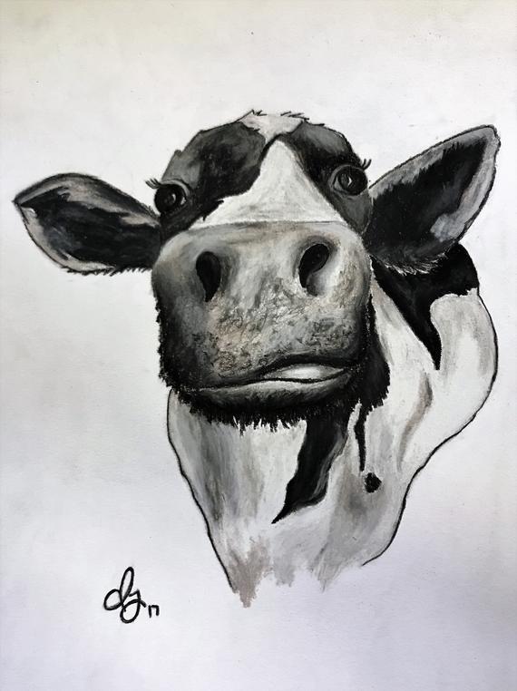 570x762 Charcoal Drawing Cow Etsy - Charcoal Drawing