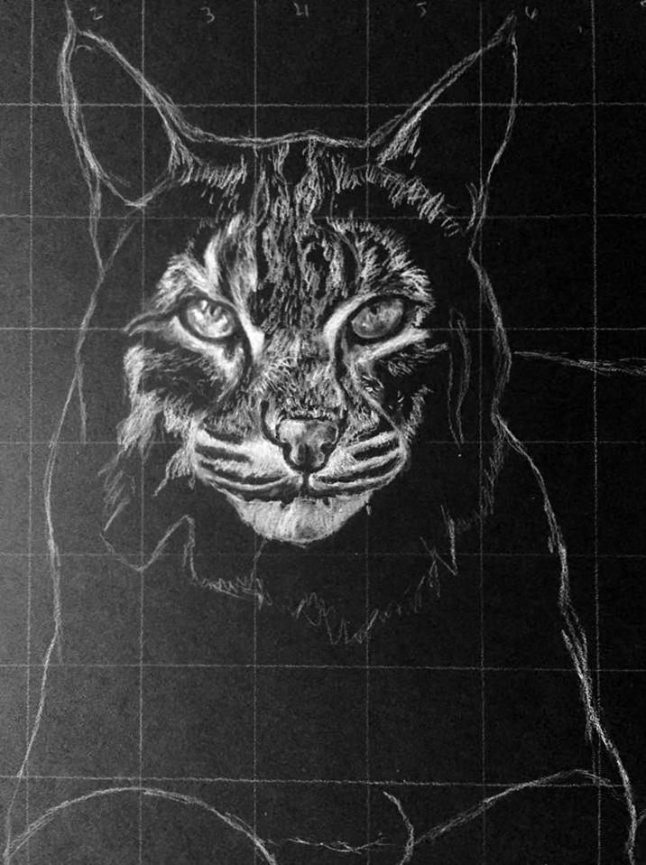 716x958 Charcoal Drawing Using The Grid Method - Charcoal Drawing Artists