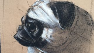 Charcoal Drawing For Beginners