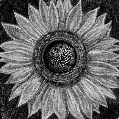 400x400 Colors Of Soot Tips On How To Draw With Charcoal - Charcoal Drawing For Beginners