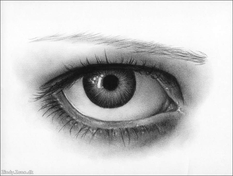 Charcoal Drawing For Beginners at Explore