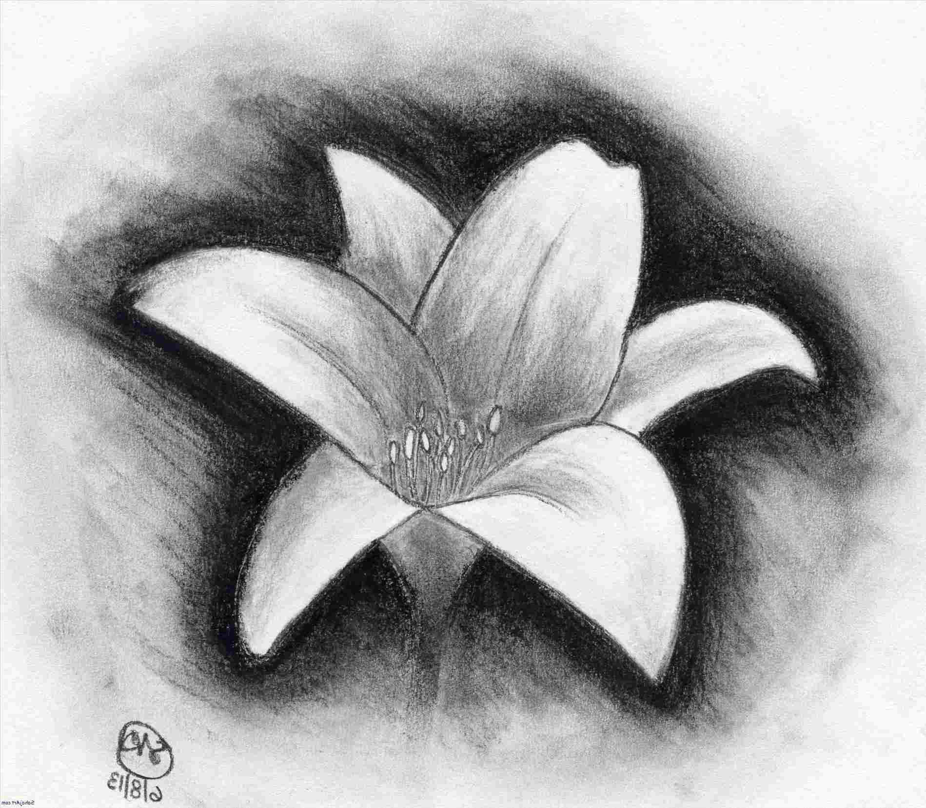 Easy Charcoal Drawing Ideas