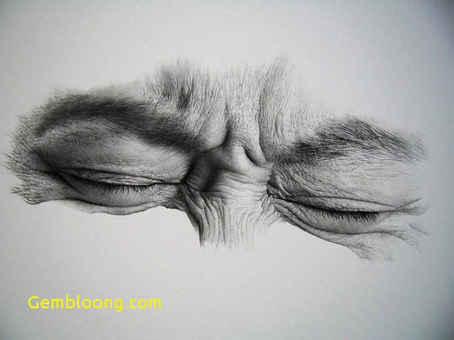 660x495 charcoal drawing paper beautiful fresh charcoal drawing ideas - Charcoal Drawing Ideas