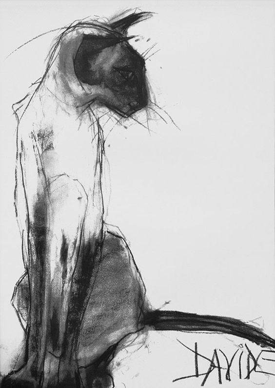 564x795 Charcoal Sketch Ideas - Charcoal Drawing Ideas