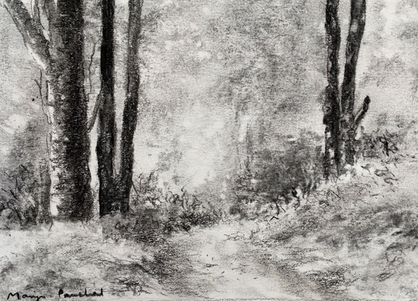 599x432 Paintings And Drawings - Charcoal Drawing Landscape