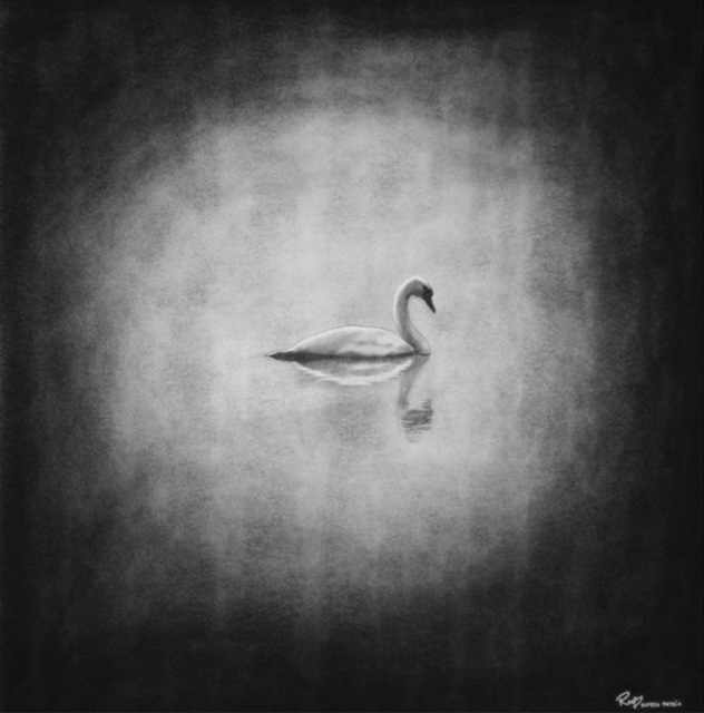 632x640 rupesh patric artwork the ugly duckling original drawing - Charcoal Drawing Landscape