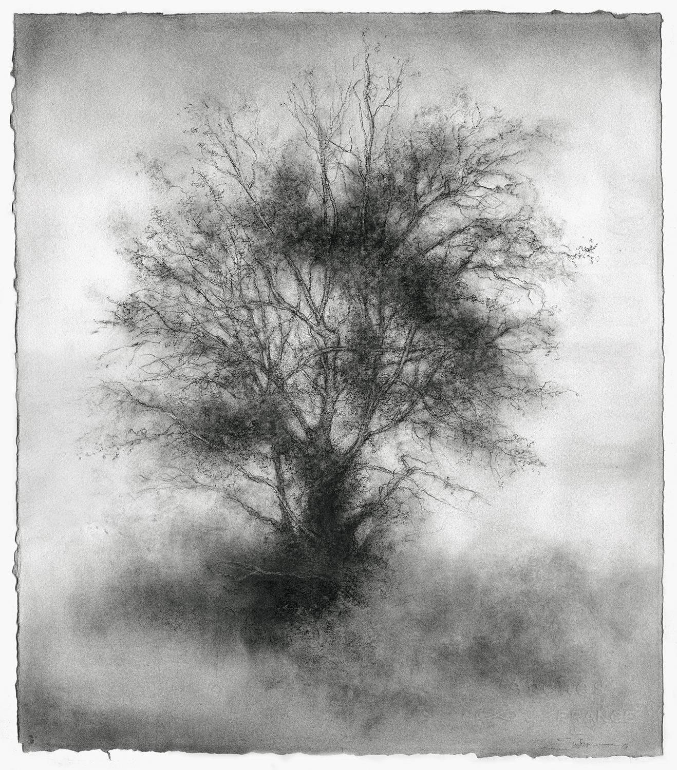 1318x1500 Sue Bryan - Charcoal Drawing Landscape