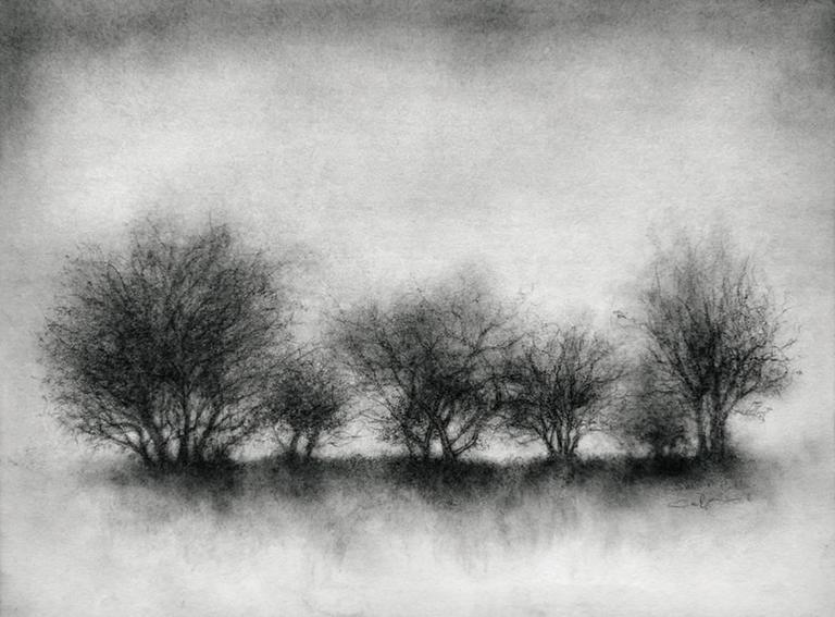 768x567 Sue Bryan - Charcoal Drawing Landscape
