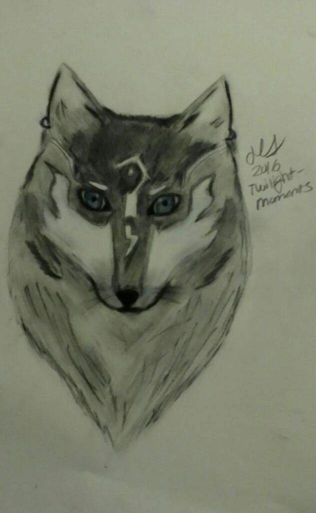 632x1024 Realistic Wolf Link - Charcoal Drawing Set