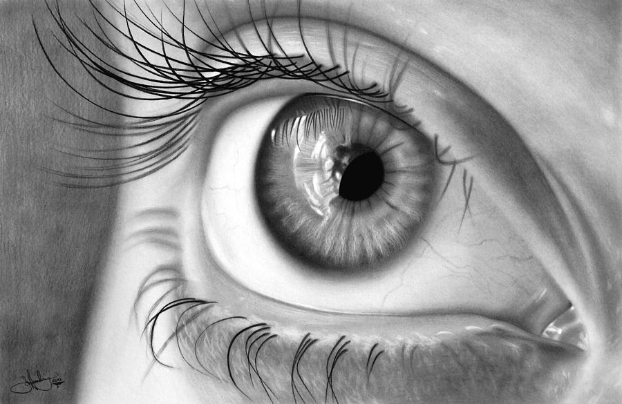 900x585 Eye Study Drawing Drawing - Charcoal Eye Drawing