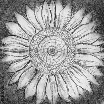 400x400 Colors Of Soot Tips On How To Draw With Charcoal - Charcoal Flower Drawing